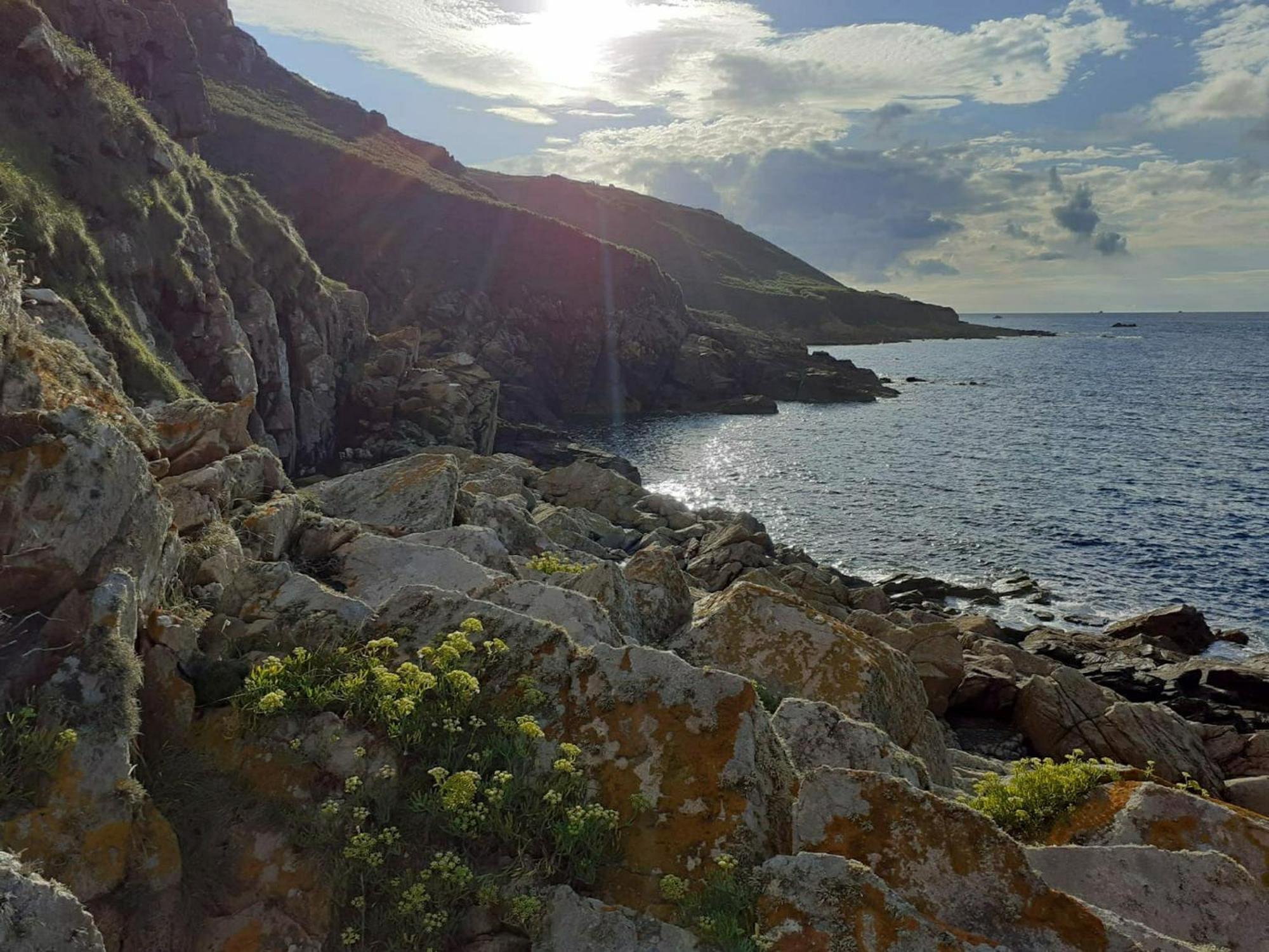 Maison Cosy Vue Mer A Guimaëc Kültér fotó